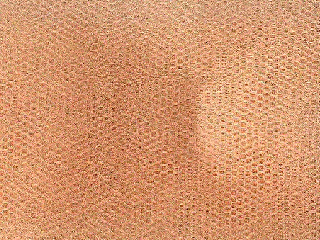 Dark Peach Plain Net Fabric