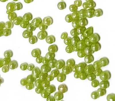 Bright Green Opaque Luster Round Rocailles Glass Seed Beads Without Hole