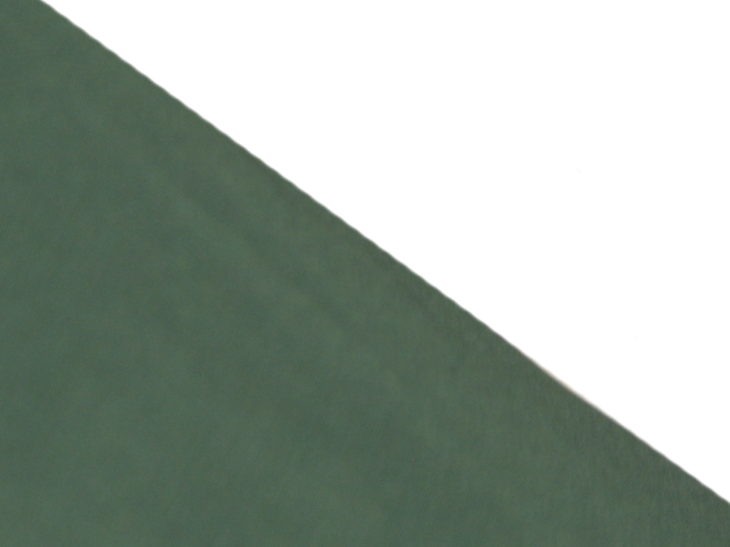 Castleton Green Plain Georgette Fabric