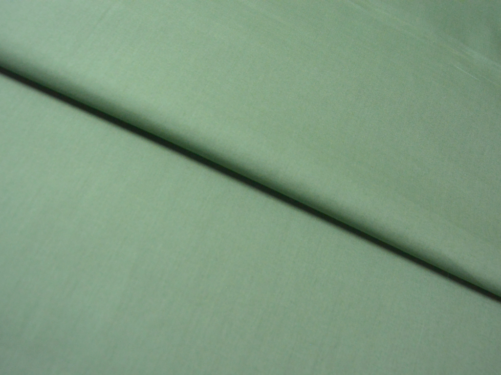 Sea Green Plain 100% Pure Mul Mul Cotton