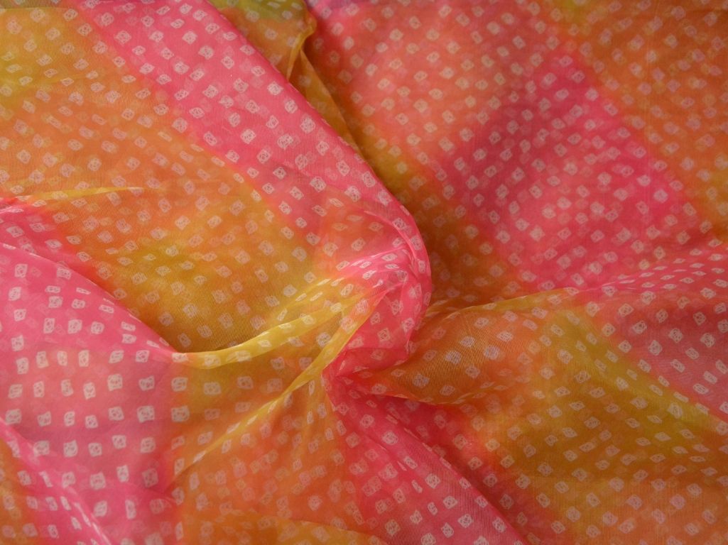 Multicolour Floral Digital Printed Liquid Organza Fabric