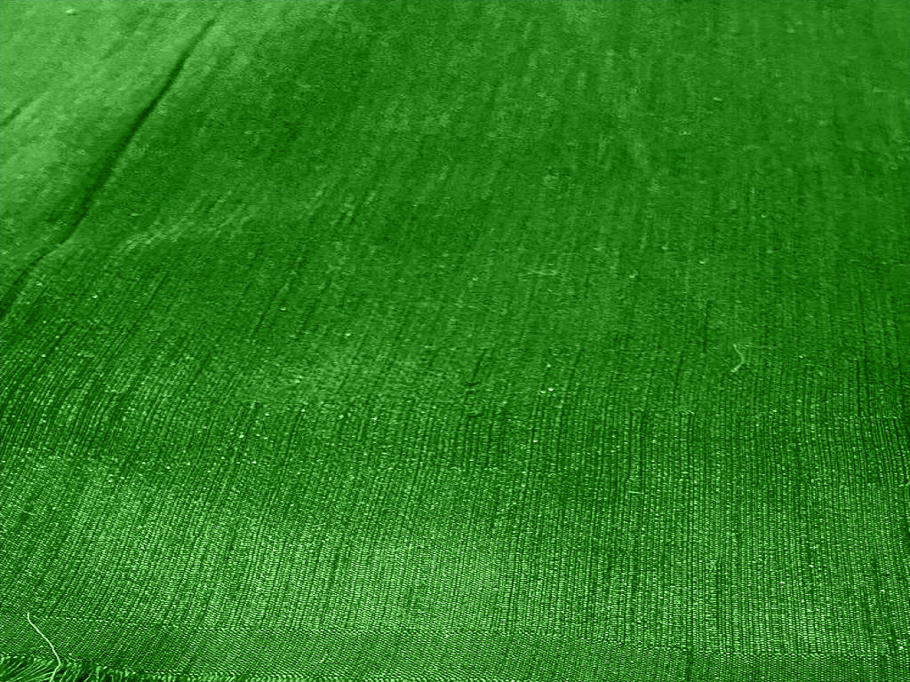 Parrot Green Plain Bangalore Raw Silk Fabric  (Wholesale)