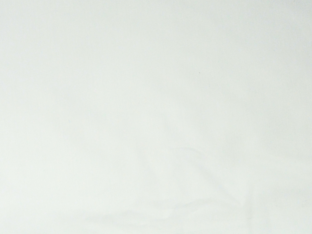 Pure White 100% Turkey Giza Cotton Fabric