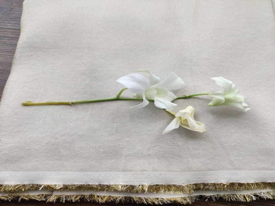 White Plain Dyeable Organza Silk Fabric With Golden Threads ( Wholesale )