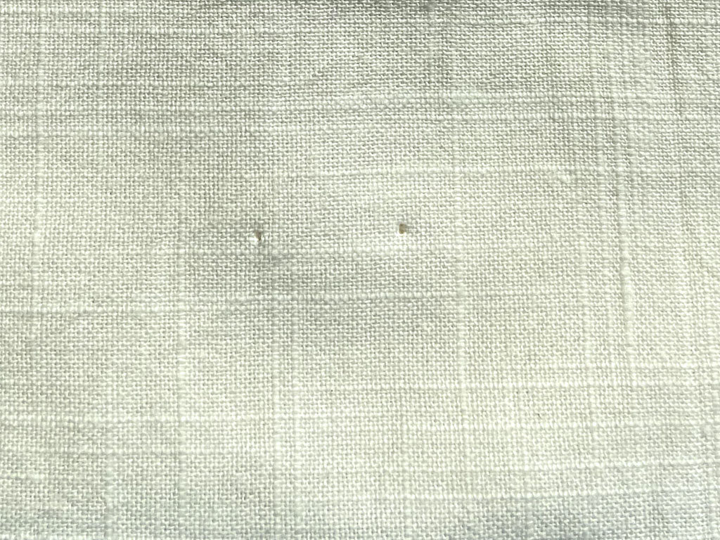 White Plain Dyeable Poplin Cotton Slub RFD Fabric  (Wholesale)