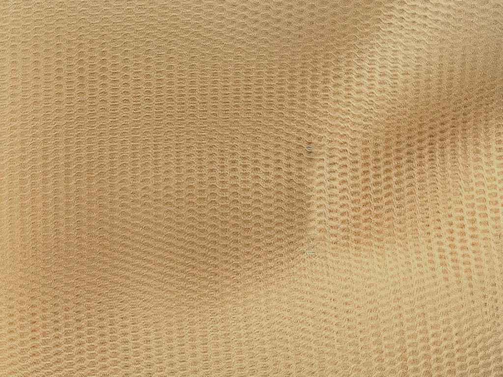 Light Beige Plain Net Fabric (Wholesale)