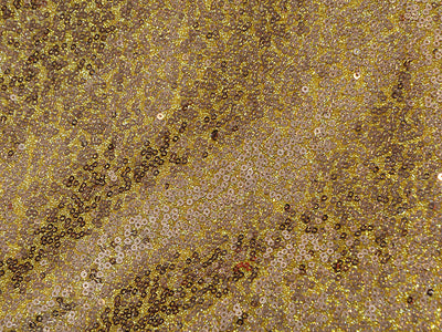 Golden Glitter Sequins Embroidered Net Fabric