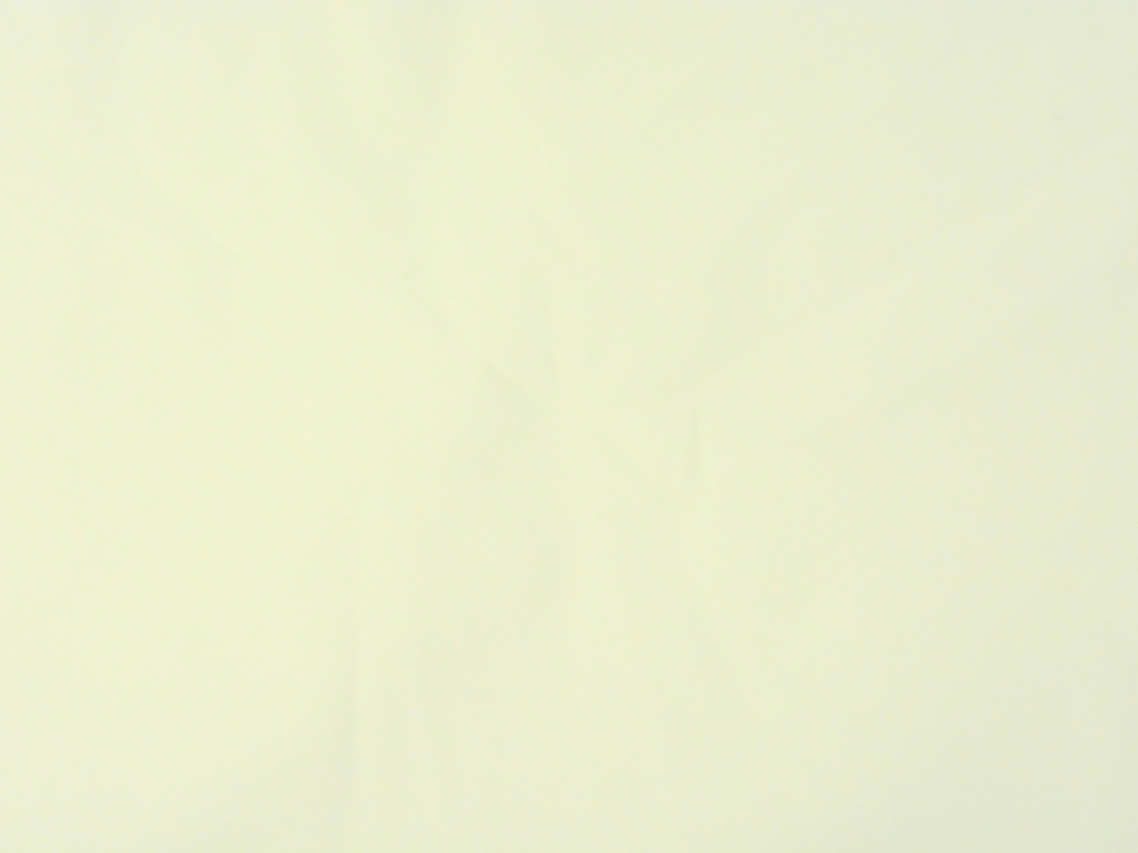 Off-White 100% Turkey Giza Cotton Fabric