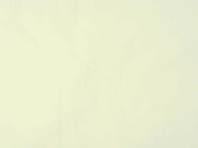 Off-White 100% Turkey Giza Cotton Fabric