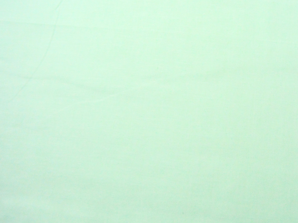 Mint Green Plain 100% Pure Mul Mul Cotton