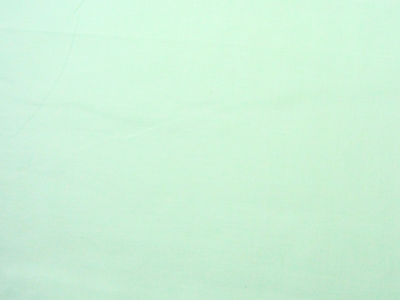 Mint Green Plain 100% Pure Mul Mul Cotton
