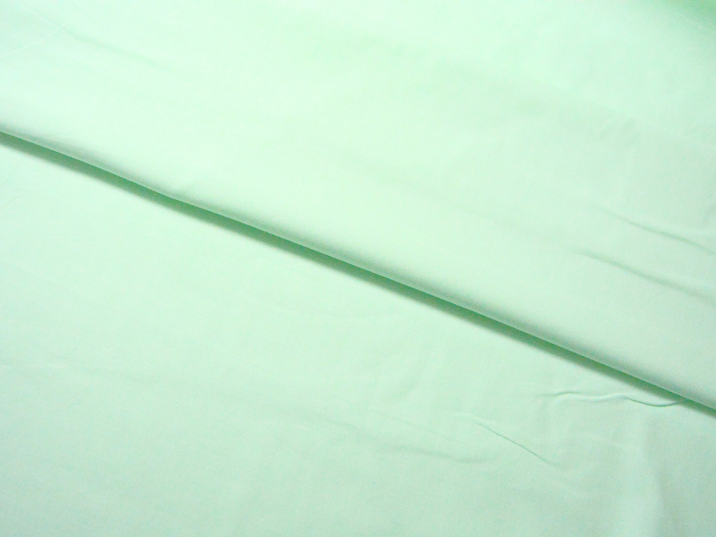 Mint Green Plain 100% Pure Mul Mul Cotton