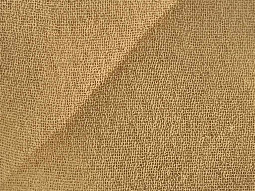 Macaroon Beige Plain 60 Grams Georgette Fabric (Wholesale)