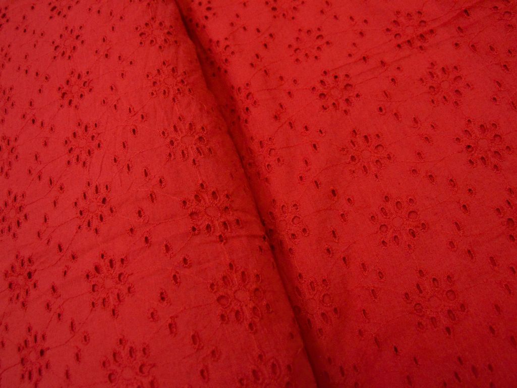 Red Cotton Hakoba Embroidered Fabric