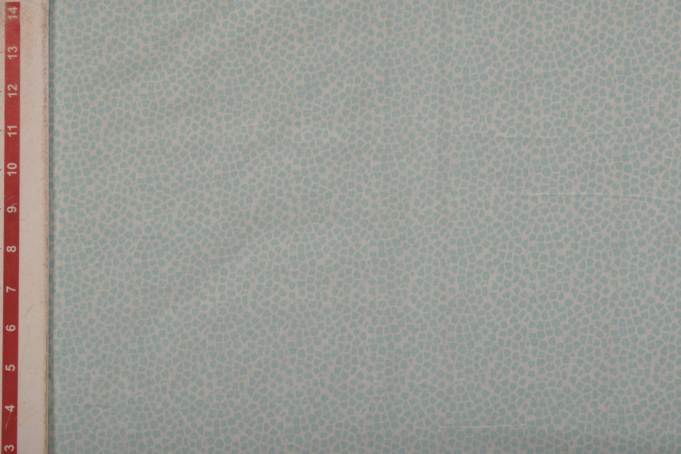 light-blue-printed-cotton-poplin-fabric-41056921