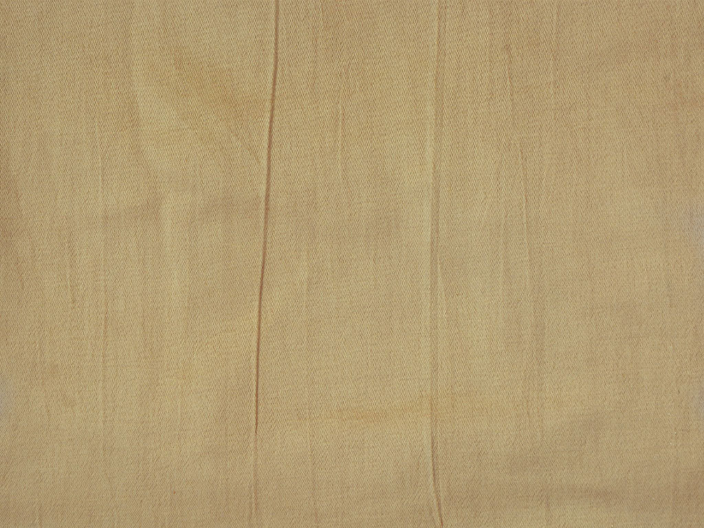 Light Gold Plain Pure Viscose Gaji Silk Fabric