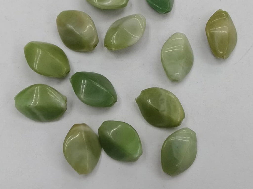 Light Green Asymmetric Shell Plastic Stones