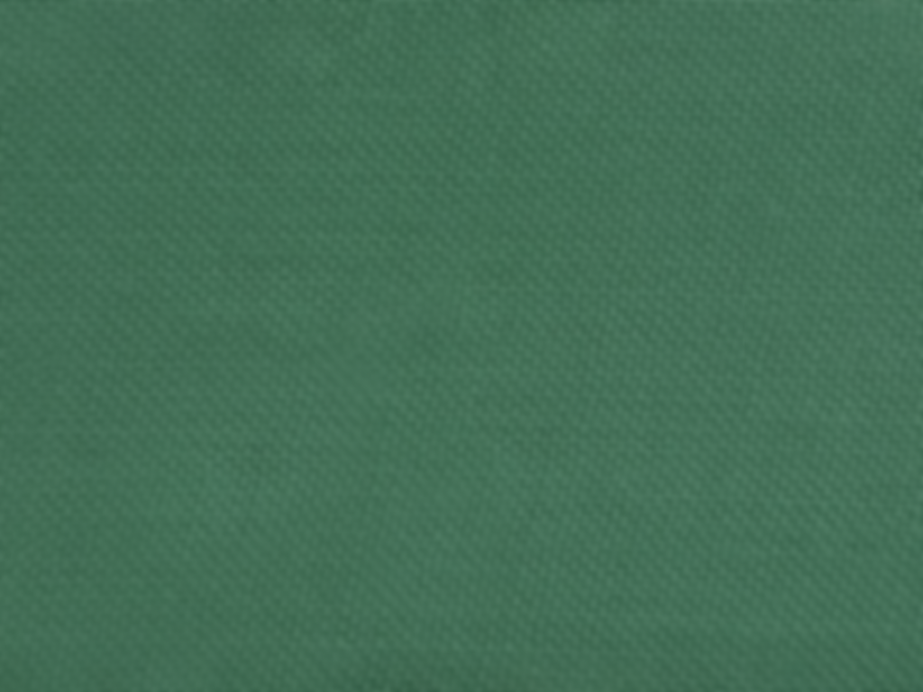 Shamrock Green Plain Glazed Cotton Fabric Wholesale