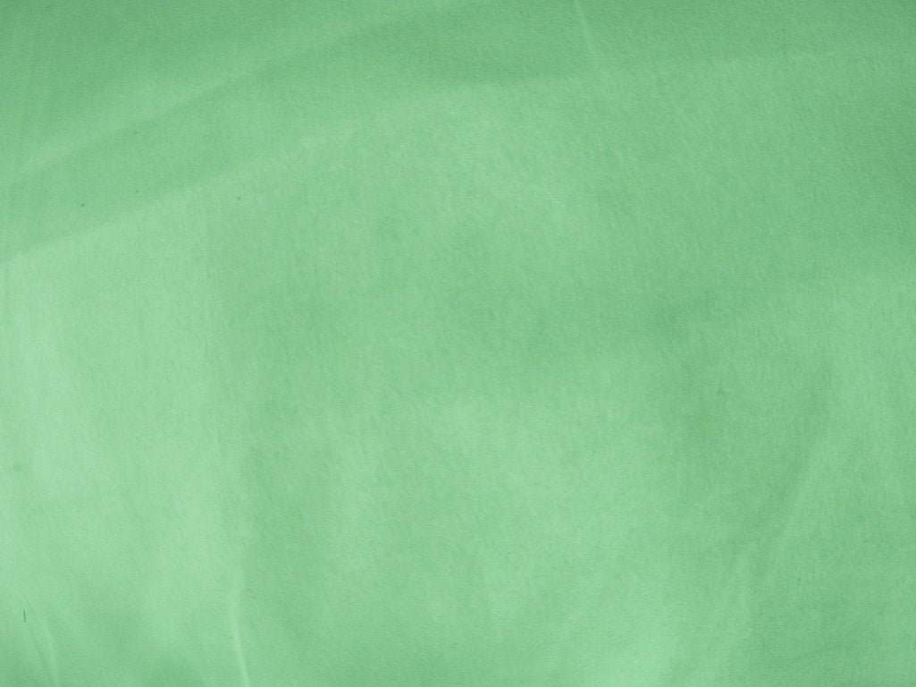 Pastel Leaf Green Plain Malai Satin Fabric (Wholesale)