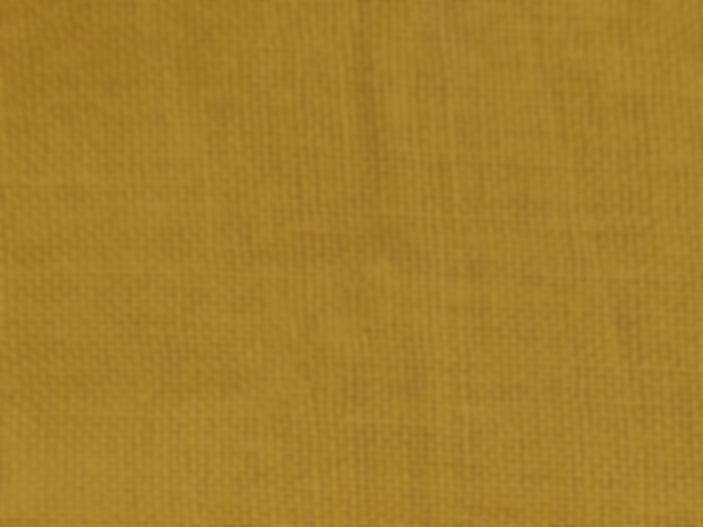 Butterscotch Yellow Plain Glazed Cotton Fabric Wholesale