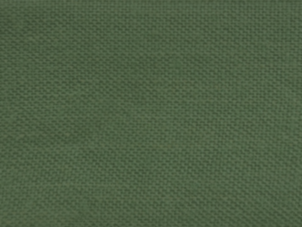 Seaweed Green Plain Glazed Cotton Fabric