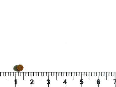 brown-lustre-circular-plastic-sequins
