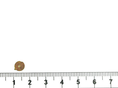 brown-rainbow-circular-plastic-sequins