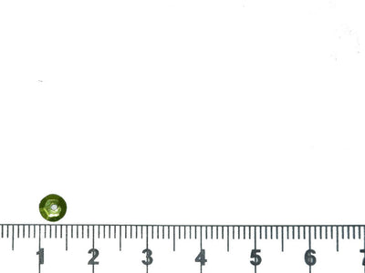 green-round-circular-plastic-sequins