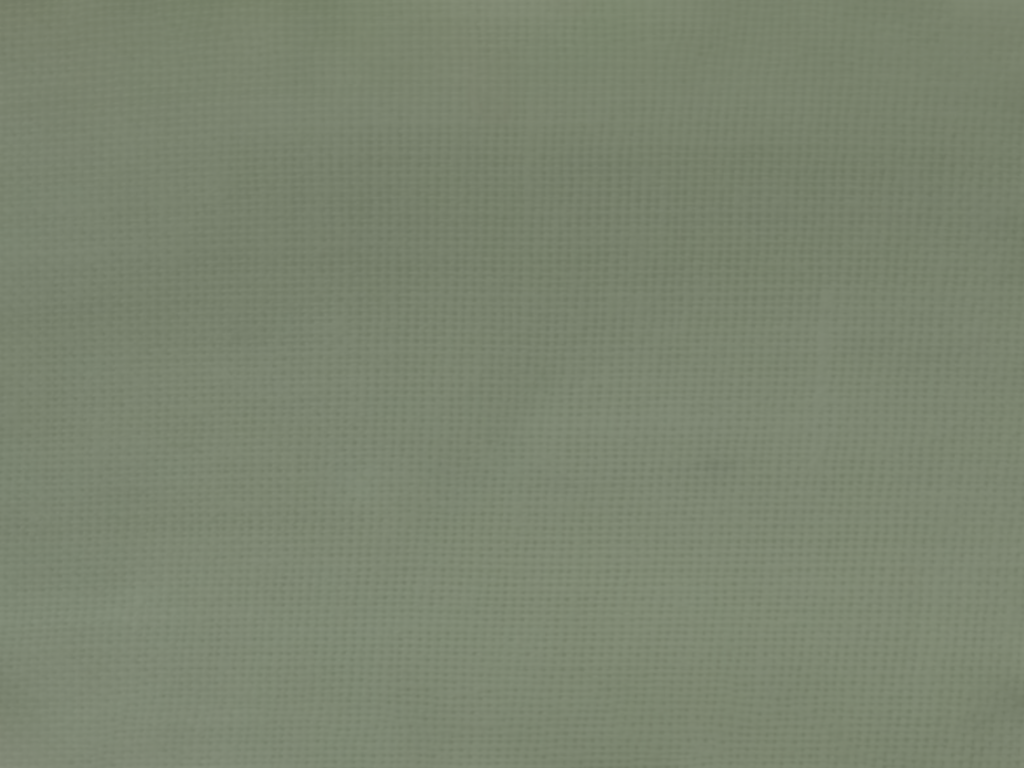 Bright Green Plain Glazed Cotton Fabric