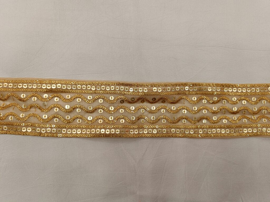 Golden Zari and Sequins Embroidered Tissue Border