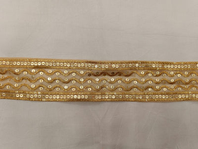 Golden Zari and Sequins Embroidered Tissue Border