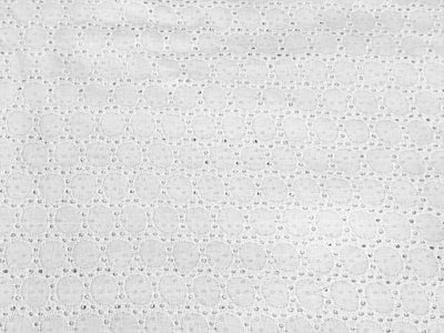 White Embroidered Hakoba Cotton Fabric