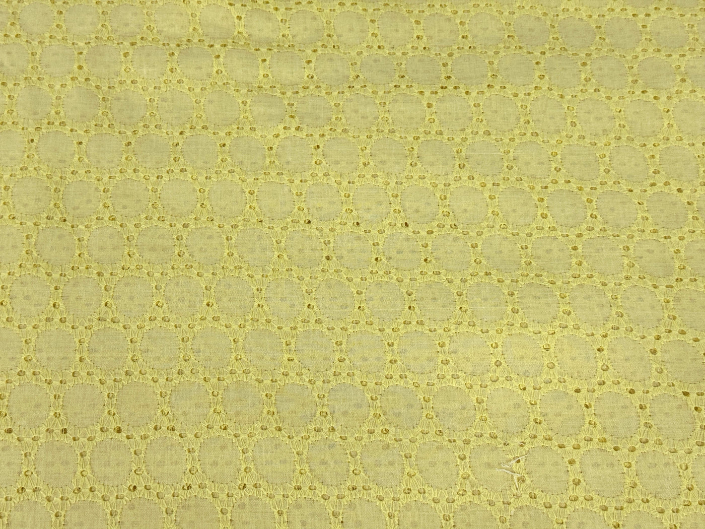 Light Yellow Embroidered Hakoba Cotton Fabric