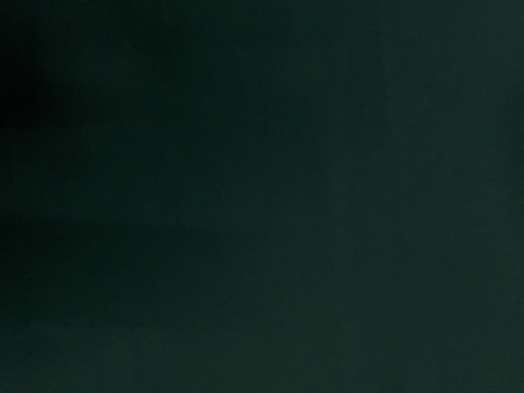 Tokiyo Forest Green Plain Crepe Fabric
