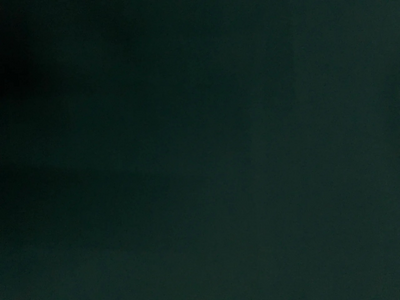 Tokiyo Forest Green Plain Crepe Fabric