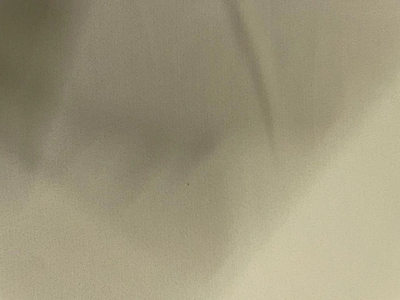 Cream White Georgette Fabric (Wholesale)
