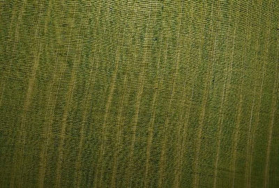 Light Green Plain Jharna Cotton ST Fabric