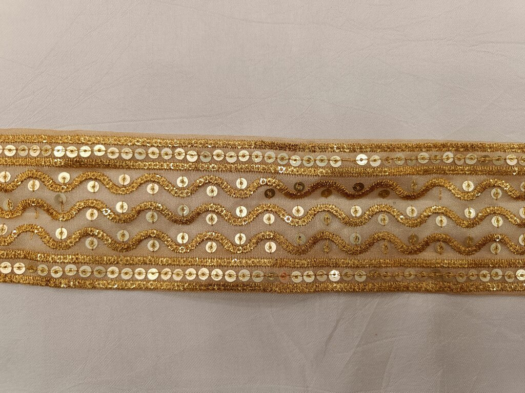 Golden Zari and Sequins Embroidered Tissue Border