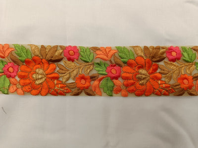 Multicolour Thread & Zari Embroidered Border