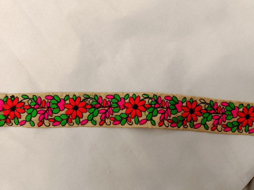 Multicolor Thread Embroidered Border