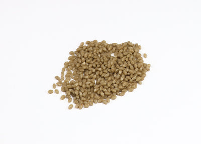 High-Quality Brown Pressed Czech Glass Beads