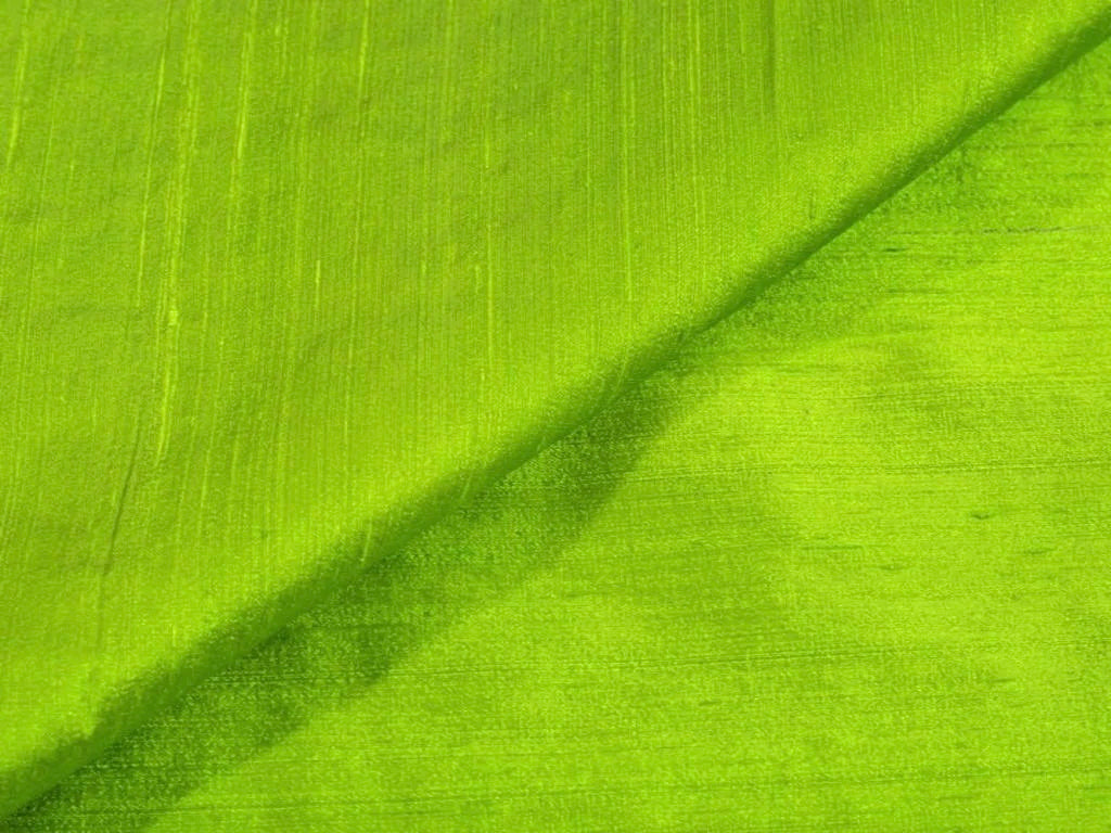 Parrot Green Plain Bangalore Raw Silk Fabric