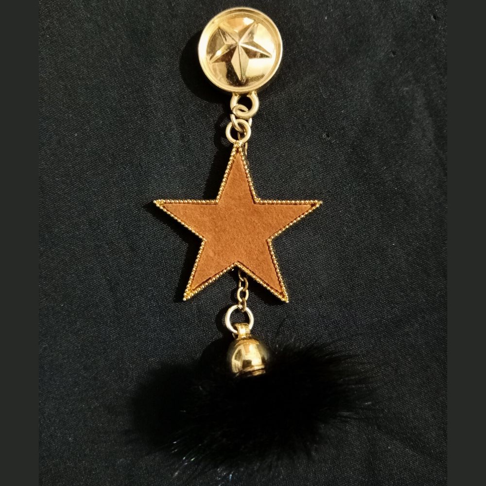 golden-star-with-feather-designer-brooch