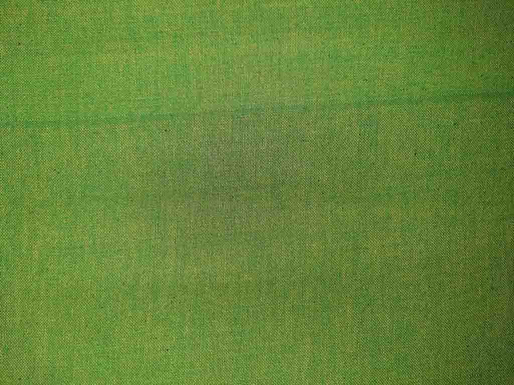 green-colour-cotton-dt-fabric