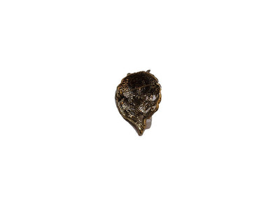stylish-golden-color-deer-face-shape-brooch-for-fancy-looks-for-party-ready