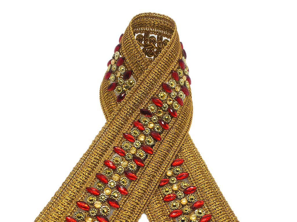 golden-red-thread-and-stone-work-studded-embroidered-border