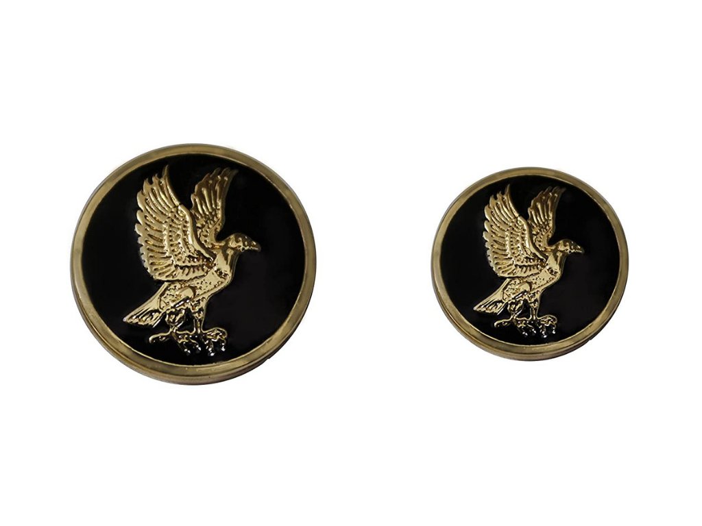 attractive-black-color-eagle-designs-buttons-1