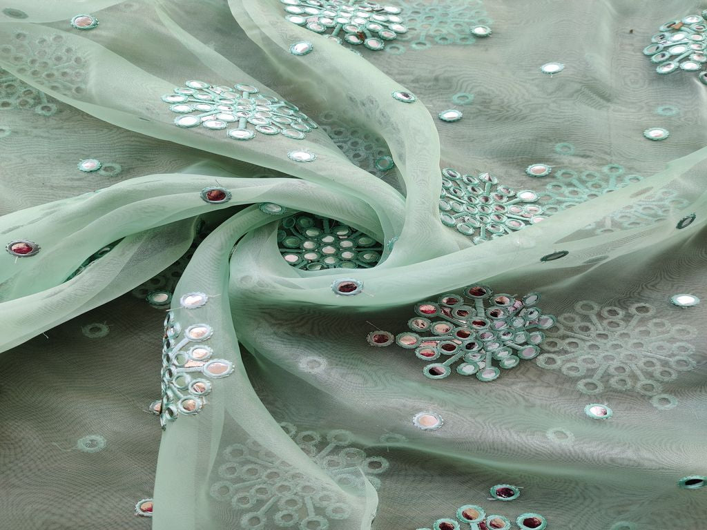 sea-green-organza-with-silver-mirror-work-embroidered-motifs