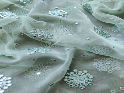 sea-green-organza-with-silver-mirror-work-embroidered-motifs