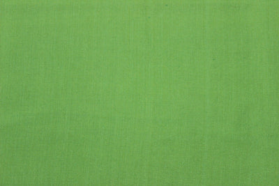 green-plain-rayon-silk-fabric-2886419